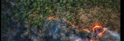 An aerial view of a wildfire